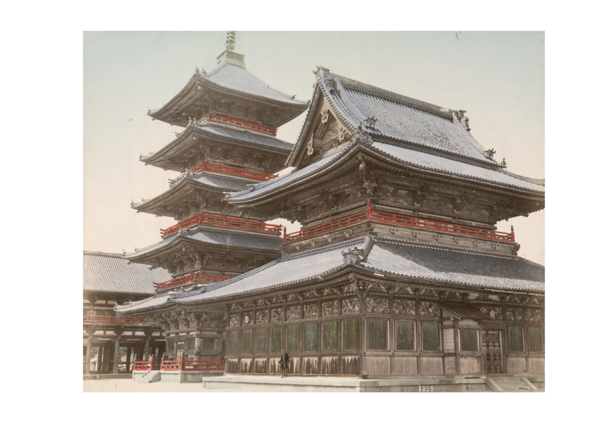 Natural History Development in Japan an… Natural History Development in Japan and Its Future in